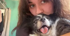 avatar petsitter
