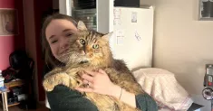 avatar petsitter