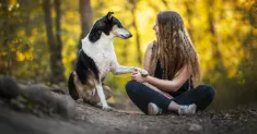 avatar petsitter