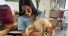 avatar petsitter