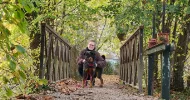avatar petsitter