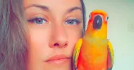 avatar petsitter