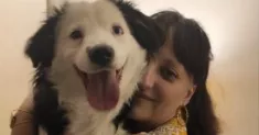 avatar petsitter