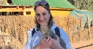 avatar petsitter