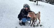 avatar petsitter