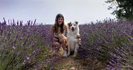 avatar petsitter