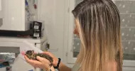 avatar petsitter