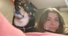 avatar petsitter