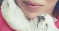 avatar petsitter