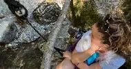 avatar petsitter