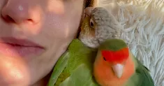 avatar petsitter