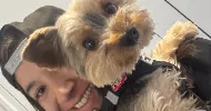 avatar petsitter