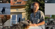 avatar petsitter
