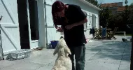 avatar petsitter
