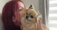 avatar petsitter