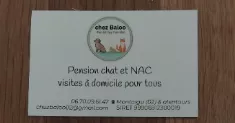 avatar petsitter