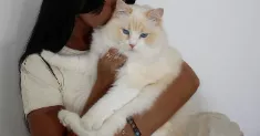 avatar petsitter