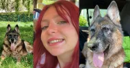 avatar petsitter