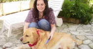 avatar petsitter
