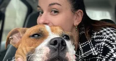 avatar petsitter