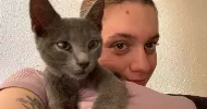 avatar petsitter