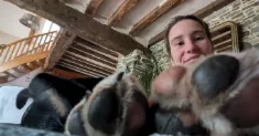 avatar petsitter
