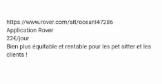 avatar petsitter