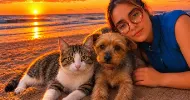avatar petsitter
