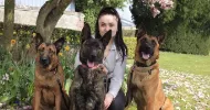 avatar petsitter