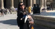 avatar petsitter