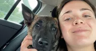 avatar petsitter