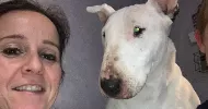 avatar petsitter