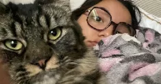 avatar petsitter