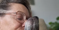 avatar petsitter