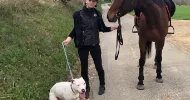 avatar petsitter