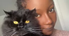 avatar petsitter