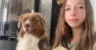 avatar petsitter