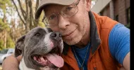 avatar petsitter