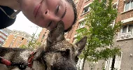 avatar petsitter