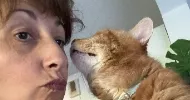 avatar petsitter
