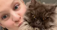 avatar petsitter