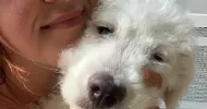 avatar petsitter