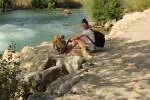 avatar petsitter