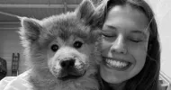 avatar petsitter