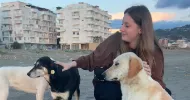 avatar petsitter
