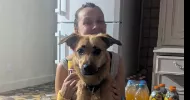 avatar petsitter
