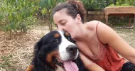 avatar petsitter