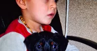 avatar petsitter