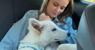 avatar petsitter