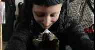 avatar petsitter